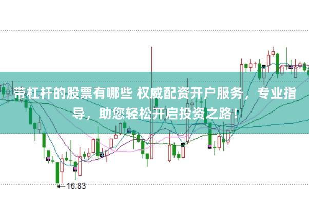 带杠杆的股票有哪些 权威配资开户服务，专业指导，助您轻松开启投资之路！