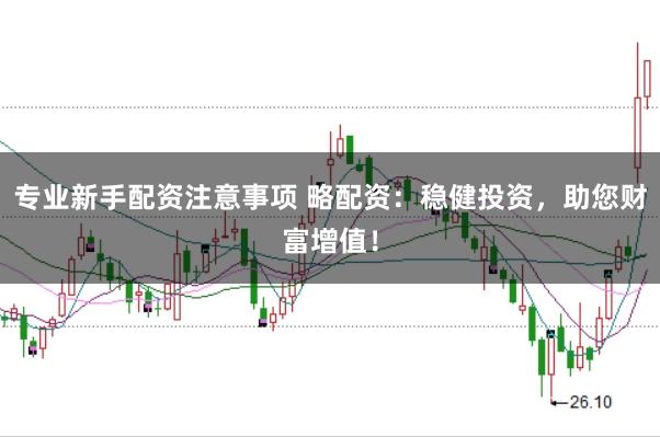 专业新手配资注意事项 略配资：稳健投资，助您财富增值！