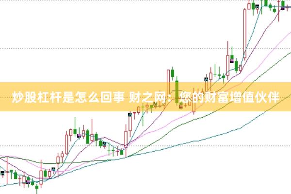 炒股杠杆是怎么回事 财之网：您的财富增值伙伴