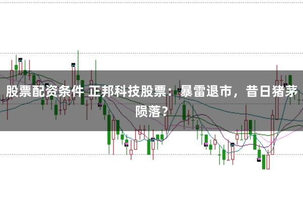 股票配资条件 正邦科技股票：暴雷退市，昔日猪茅陨落？