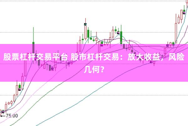 股票杠杆交易平台 股市杠杆交易：放大收益，风险几何？