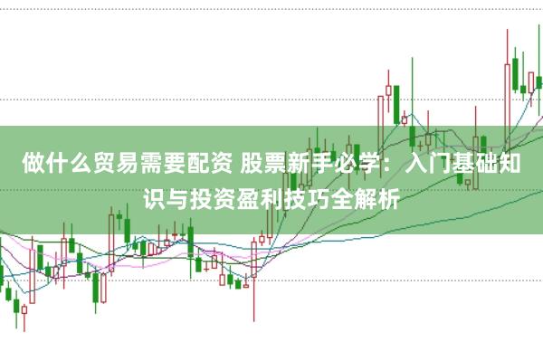 做什么贸易需要配资 股票新手必学：入门基础知识与投资盈利技巧全解析