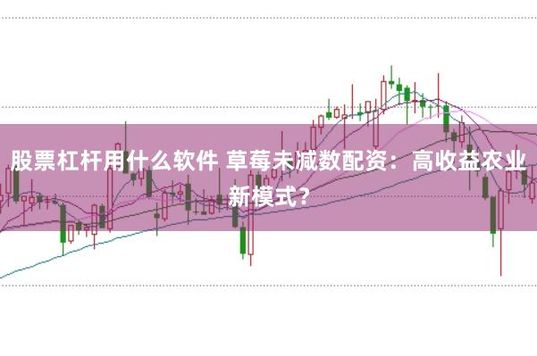 股票杠杆用什么软件 草莓未减数配资：高收益农业新模式？