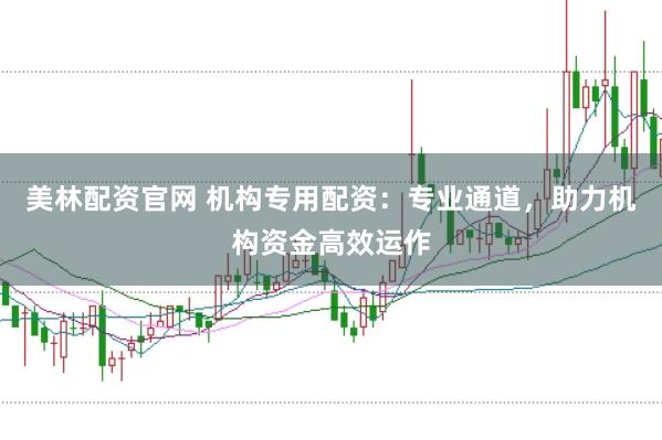 美林配资官网 机构专用配资:专业通道,助力机构资金高效运作