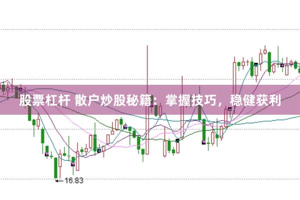 股票杠杆 散户炒股秘籍:掌握技巧,稳健获利