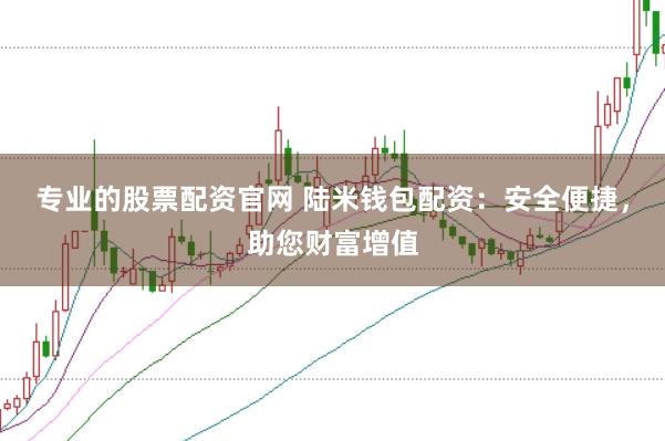 专业的股票配资官网 陆米钱包配资:安全便捷,助您财富增值