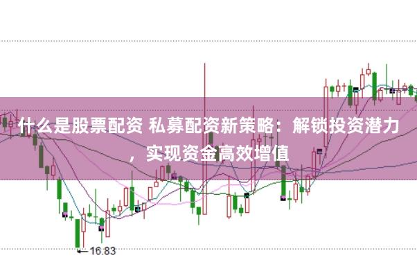 什么是股票配资 私募配资新策略:解锁投资潜力,实现资金高效增值