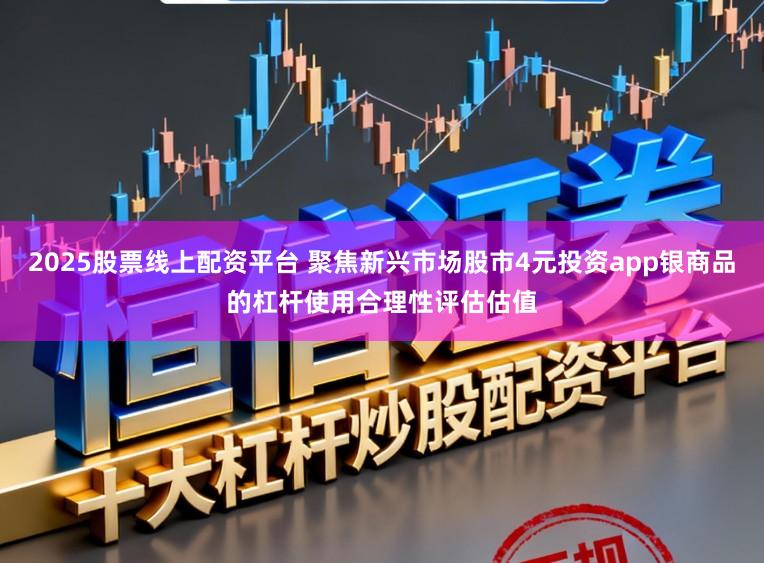 2025股票线上配资平台 聚焦新兴市场股市4元投资app银商品的杠杆使用合理性评估估值