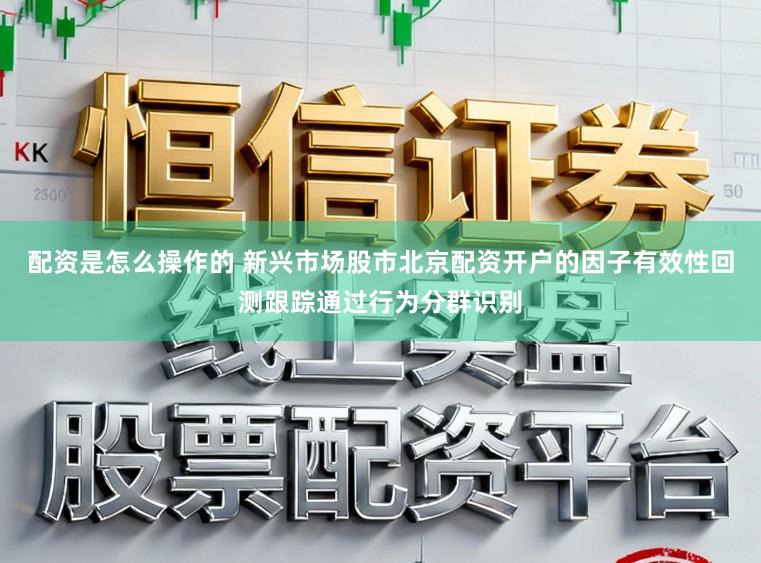 配资是怎么操作的 新兴市场股市北京配资开户的因子有效性回测跟踪通过行为分群识别
