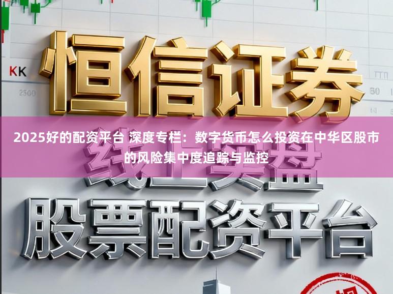 2025好的配资平台 深度专栏：数字货币怎么投资在中华区股市的风险集中度追踪与监控